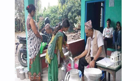 Subsidy brings milk production boost in Syangja