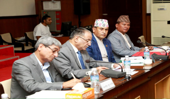 Newly elected parliamentary committee presidents administered oath