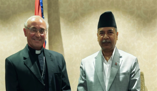 Vatican City's envoy calls on Vice President