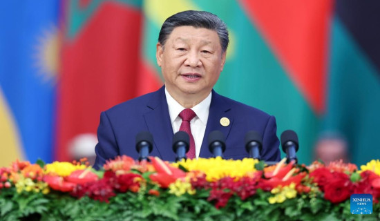 Xi proposes action plans to jointly advance modernization with Africa