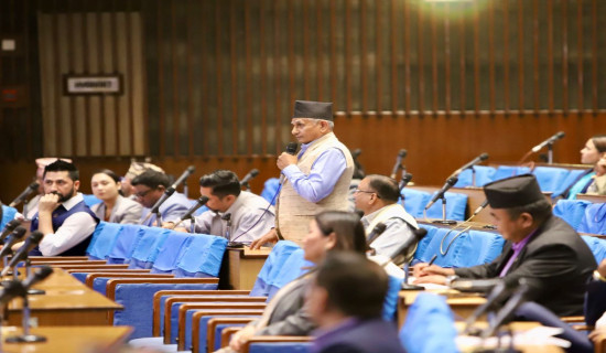 NC parliamentary party to decide on Deputy Speaker's issue