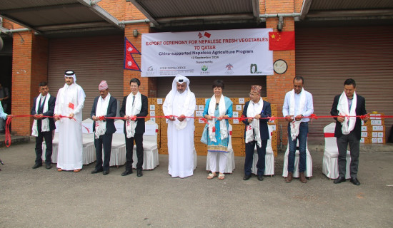 Nepal's vegetables being exported to Qatar