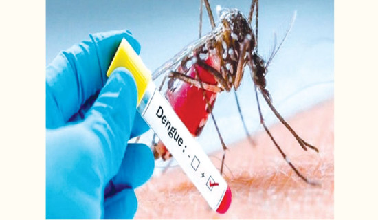 Dengue cases on the rise in Parbat