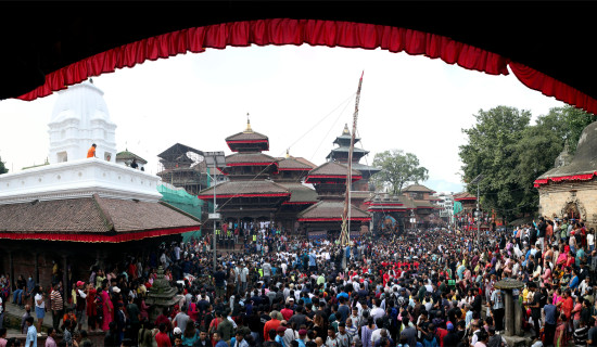 Indra Jatra begins with erection of lingo at Basantapur (Photo Feature)