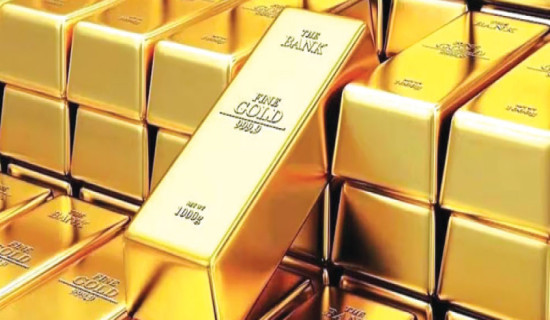 Gold price sets new record