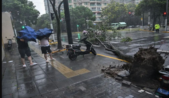 Shanghai hit by strongest typhoon in 75 years