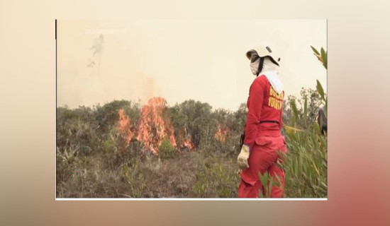 At least 15 dead and thousands hectares scorched as wildfires sweep Peru