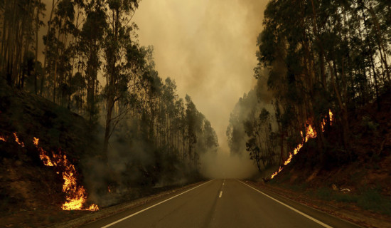 Portugal declares state of calamity  as wildfires rage out of control