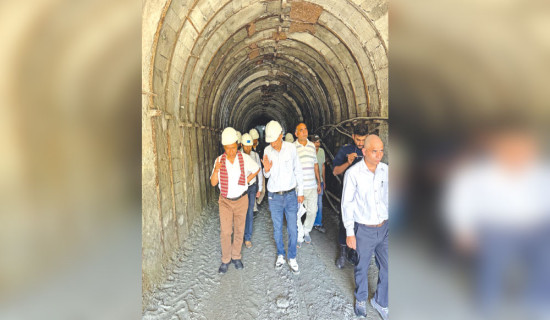 80% work of Rahughat Hydel Project completes