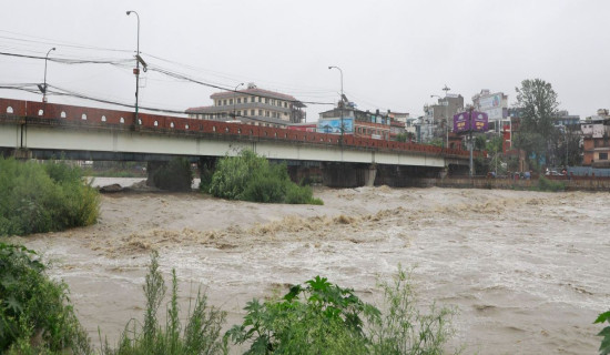 Water level in rivers rise to danger level