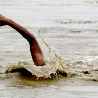 Flood washes away bailey bridge, Mechi highway obstructed