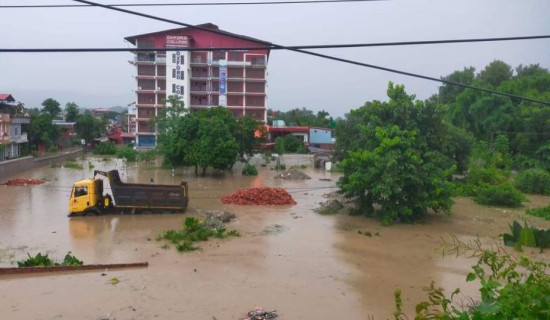 100 home sub-merged in flood after Narayani river spill