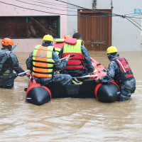 Snap-shot of today's rescue work