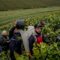 In France, fuel crisis frays nerves and workers’ resilience