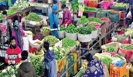 Fruits and vegetables supply eases in Kathmandu Valley