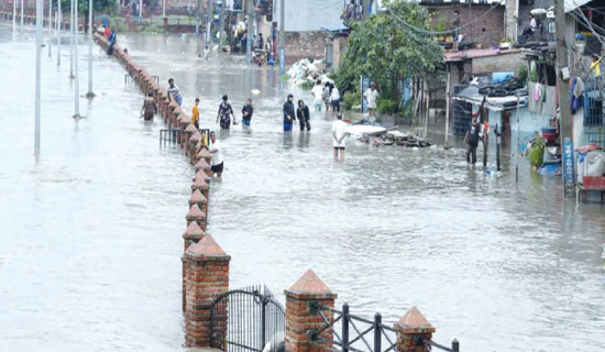 Extreme rain and poor urban plan contributed bigger losses