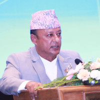 Deputy Speaker Rana calls for Nepal's effective representation in int'l forums