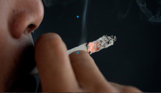 Phasing out teen smoking could save 1.2mn lives