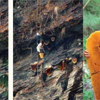 Skywalk comes into operation at Kanyam