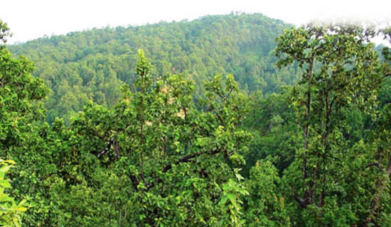 Kalika Temple in Baglung gets renovated