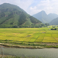 Climate change adds challenge for Nepal to become self-reliant in paddy