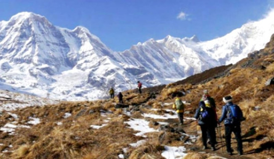 Suspension bridge connecting two districts at risk due to flood in Trishuli River