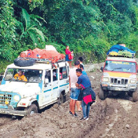 Rise in dengue cases feared amid monsoon disasters