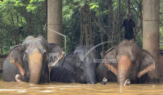 Floods inundate Thailand's   tourist city of Chiang Mai