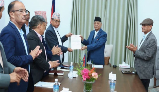 All sides' efforts must to cope with disaster: PM Oli