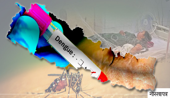 Death toll from dengue reaches seven in Gandaki