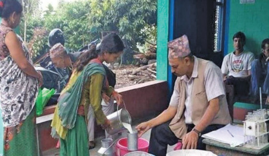 Milk collection from Shantidanda, Biglante halted for a week