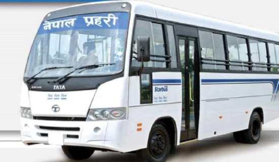 Nepal Police to operate free bus services today in Kathmandu