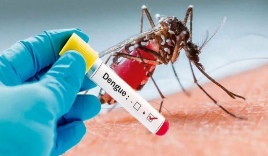 Bangladesh records highest daily spike of 9 dengue deaths this year