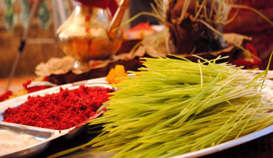 Dashain festival- tika and jamara rituals continue