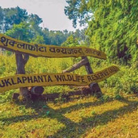 Taking tourists inside Bouddhanath area without ticket to face action