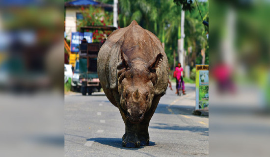 Tourist destinations empty during Dashain