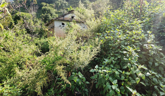 Dailekh's Gadigaun turns into ghost town due to out-migration