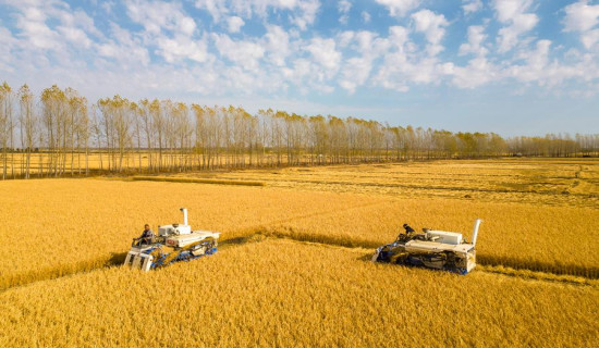 Nearly 70% of autumn grains harvested in China