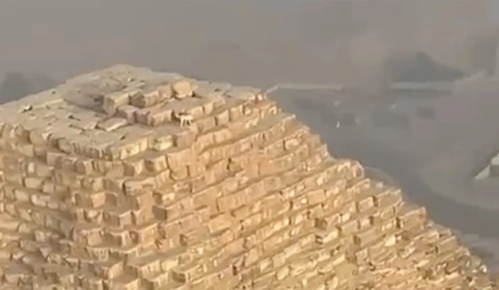 Dog spotted hanging out on top of ancient pyramid in Egypt