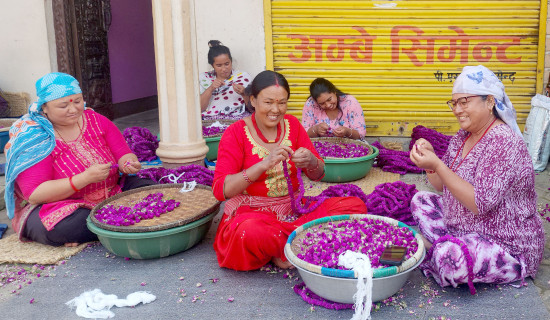 Making Globe Amaranth garlands for Tihar