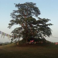 Myagdi's beautiful Niskot Village