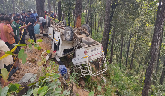 Two killed in Nawalpur Jeep accident, 28 injured