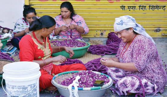 President Bhandari tests positive for Coronavirus