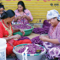 Nepal achieves vaccination target