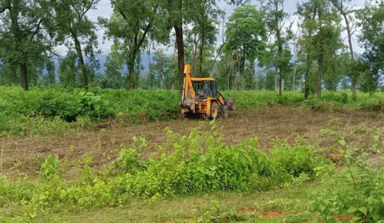 Voting begins in Tanahun 1