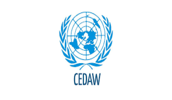 CEDAW concerned over regression in women and children rights