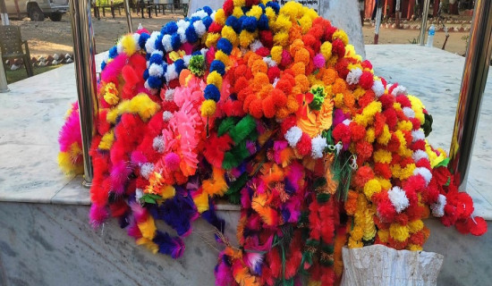 Plastic flowers banned in Thaha Municipality