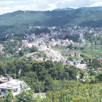 Plastic flowers banned in Thaha Municipality