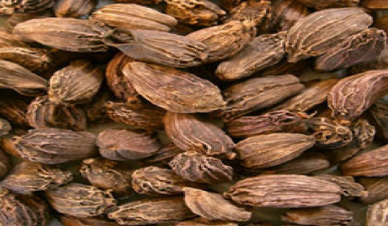 Black cardamom sees rise in price after a decade, production likely to decline