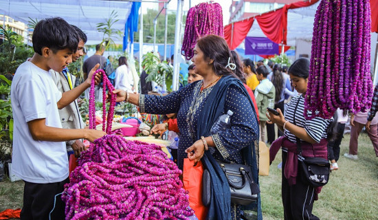 Nepal to export 200,000 garlands of Makhamali flowers